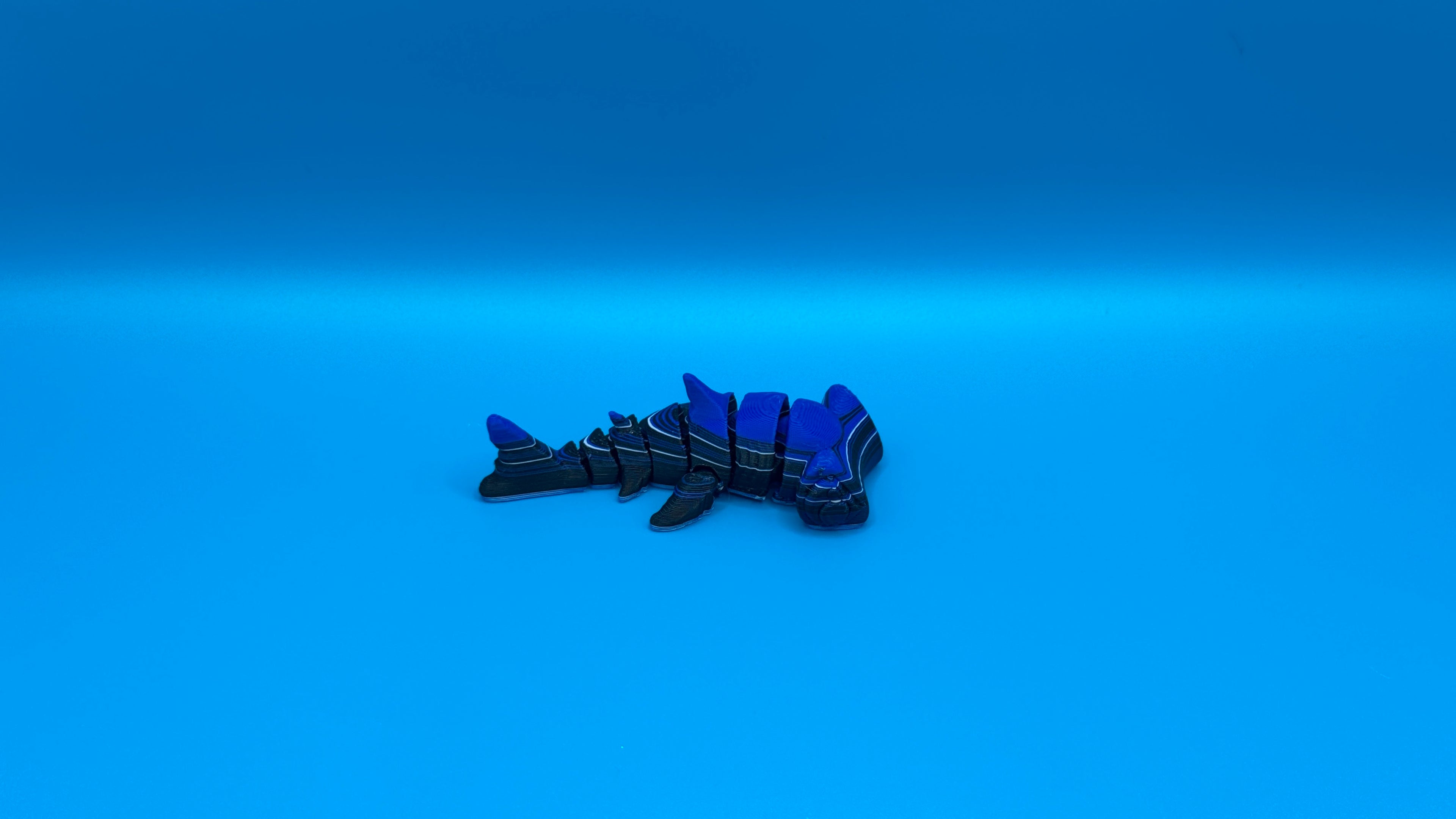 Imperfect Hammer Head Shark