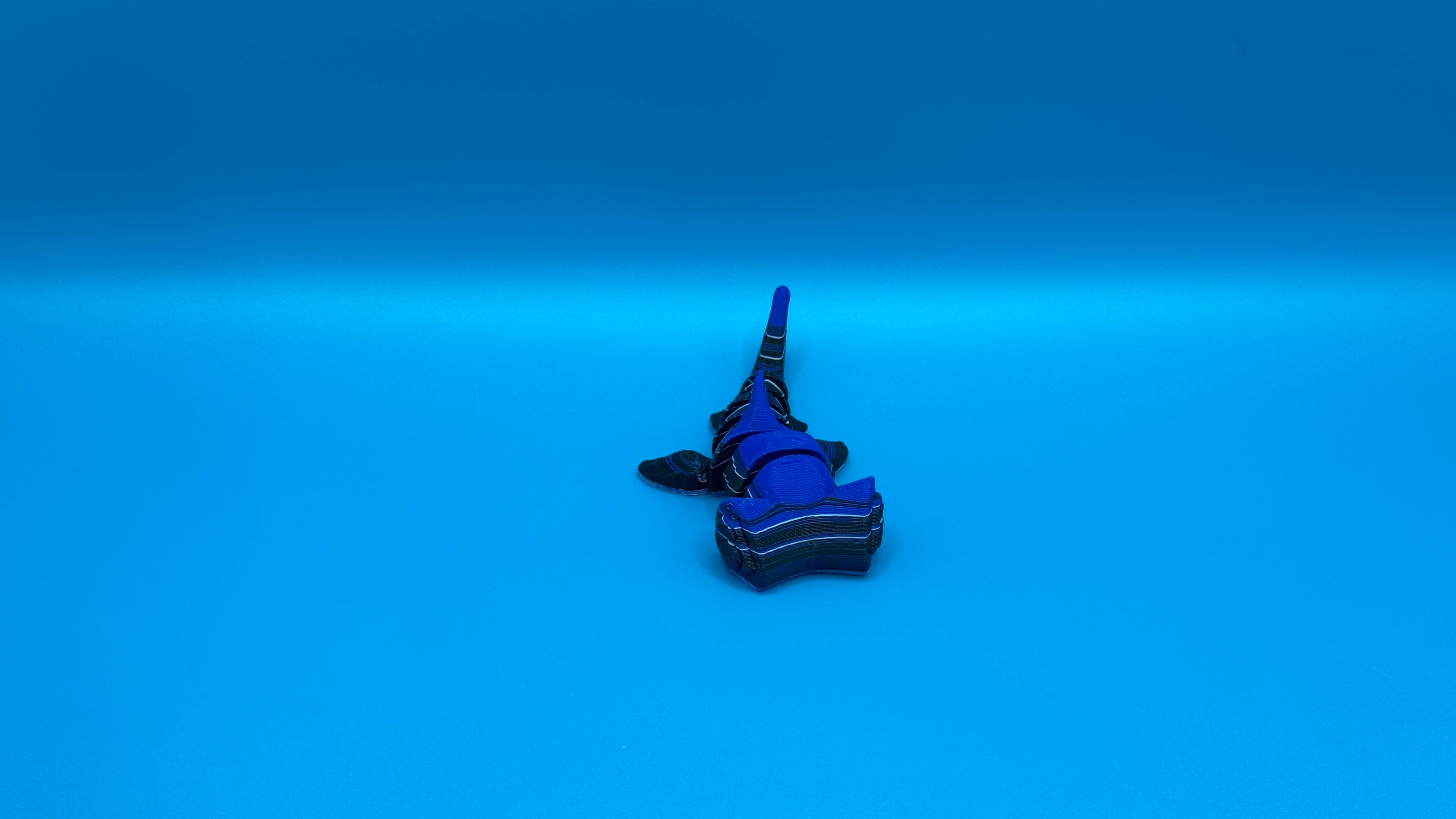 Imperfect Hammer Head Shark