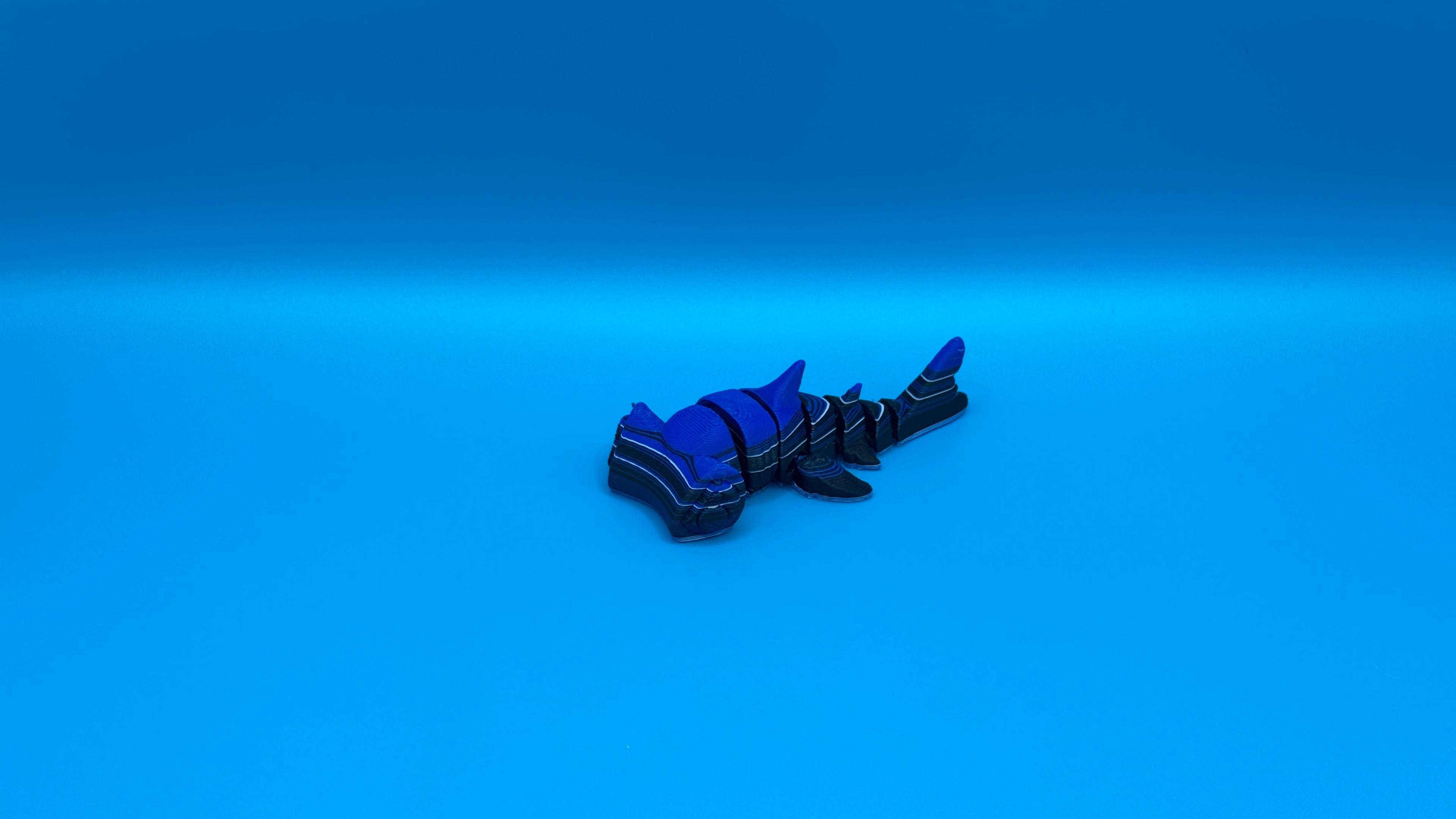 Imperfect Hammer Head Shark