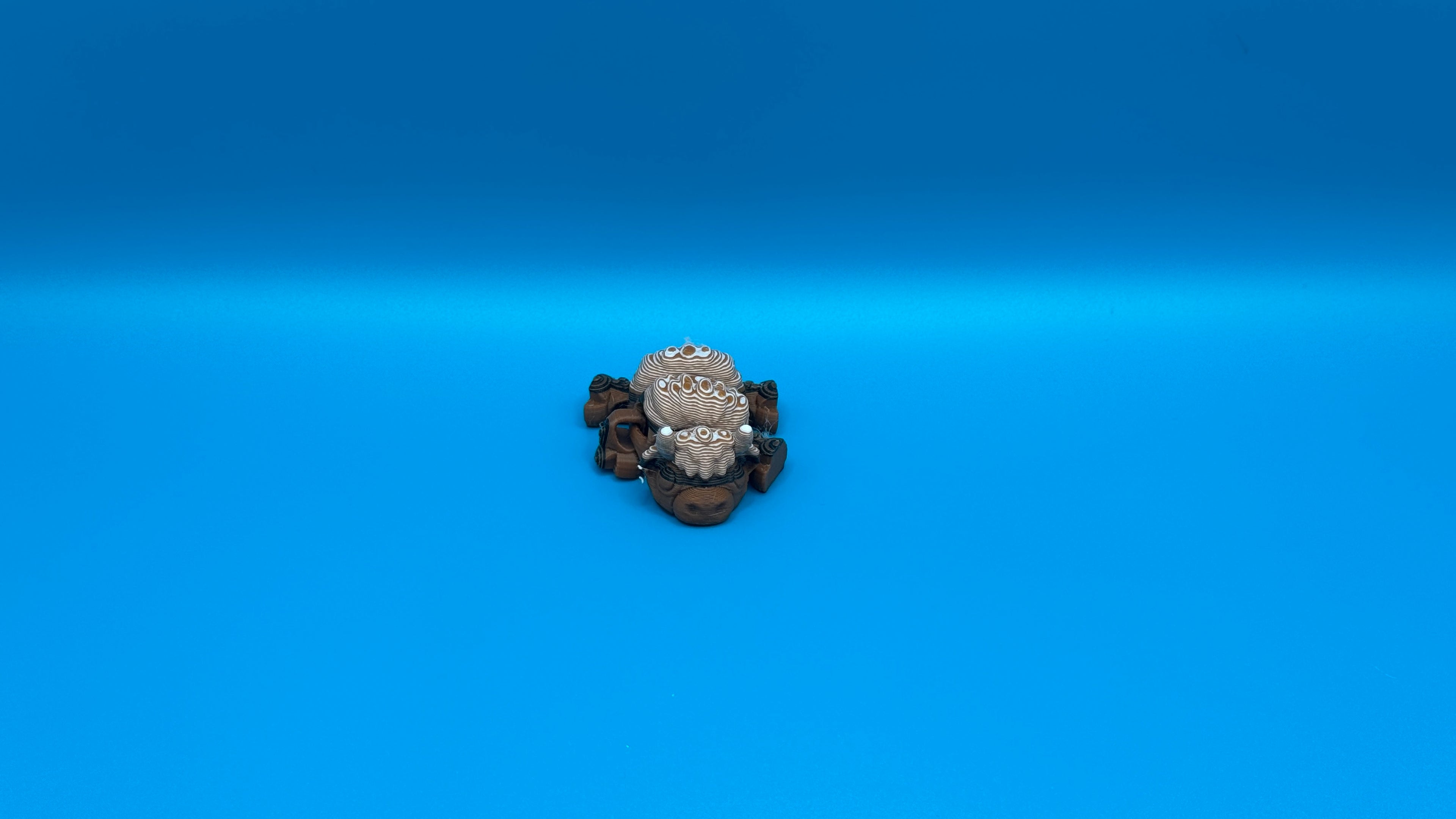 Imperfect Highland Cow